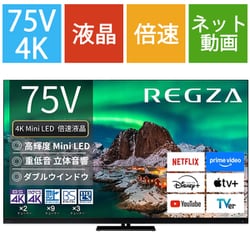 Z970Rシリーズ 75V型 4K液晶テレビ ファインMiniLED＋量子ドット 倍速対応 レグザインテリジェンス/タイムシフトマシン対応 75Z970R