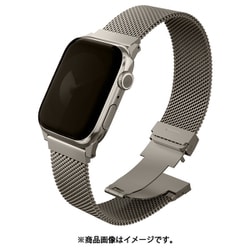 AW49/46/45/44 メッシュバンド チタンSV DANTE Pro