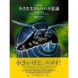 【バーゲンブック】写真で見る小さな生きものの不思議-土壌動物の世界 [単行本]