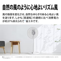ヨドバシ.com - シャープ SHARP リビング扇風機 ACモーター搭載