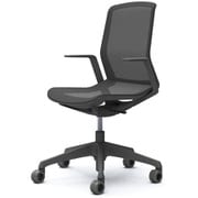 CYNARA (シナーラ) スタンダードタイプ ダークグレー CD77MK F2X3