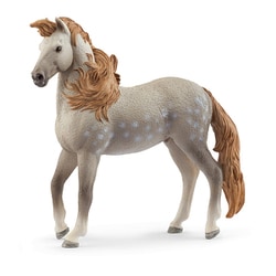14895 [HORSE CLUB アンダルシア（オス）]
