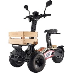 MAD-TRUCK（マッドトラック） 電動バイク MAD-TRUCK2000