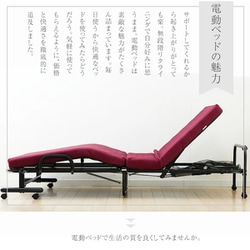 谷村実業 電動メッシュキルトベッド　ブラック 折りたたみ リクライニング 高反発 谷村実業 電動メッシュキルトベッド ブラック TAN-887(BK) 1個