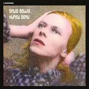David Bowie／Hunky Dory (2015 Remaster)（EU/LP/RM） [輸入盤アナログディスク]