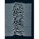 Joy Division／Unknown Pleasures（EU/LP） [輸入盤アナログディスク]