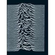 Joy Division／Unknown Pleasures（EU/LP） [輸入盤アナログディスク]