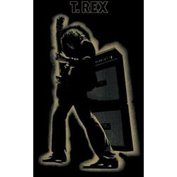 T. Rex／Electric Warrior（INTL/LP） [輸入盤アナログディスク]