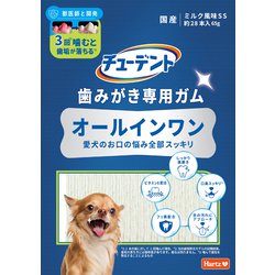 歯みがき専用ガム オールインワン SS 65g