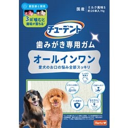 歯みがき専用ガム オールインワン S 70g