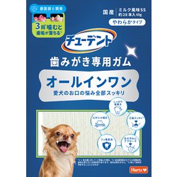 歯みがき専用ガム オールインワン やわらかタイプ SS 65g
