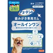 歯みがき専用ガム オールインワン やわらかタイプ SS 65g