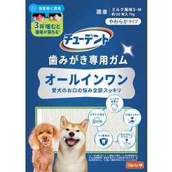 歯みがき専用ガム オールインワン やわらかタイプ S-M 70g