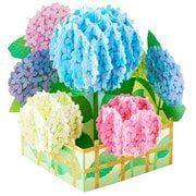 初夏カード 生垣に立体アジサイ 484237