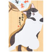 サマーカード ポストカード ネコ仰向け 386545