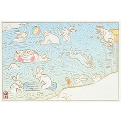 サマーカード ポストカード 水遊びする動物たち 684635