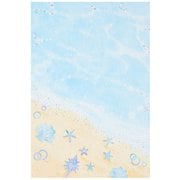 サマーカード ポストカード 海と貝殻 684651