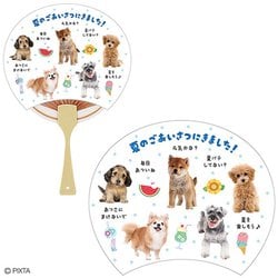 サマーカード 3Dうちわ 犬フォトREFINE 685836