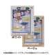 防雪ネットホワイト 2.7m×2.7m BSN2.7X2.7W