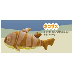 12269 さめなかま ぬいぐるみ ネコザメ