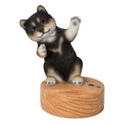 H20364-1 Dancing 黒柴犬のスマホスタンド