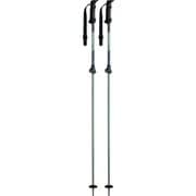 シルビック テレスコ アルミ スキー ストック 伸縮式 カーキ(KK) 100-125cm KPBD-9010