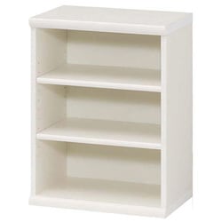 エースラック カラーラック 幅44.2×奥行31×高さ60cm ホワイト NC6045 WH