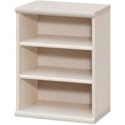 エースラック カラーラック 幅44.2×奥行31×高さ60cm ライトナチュラル NC6045 LN