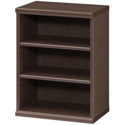 エースラック カラーラック 幅44.2×奥行31×高さ60cm ダークブラウン NC6045 DB