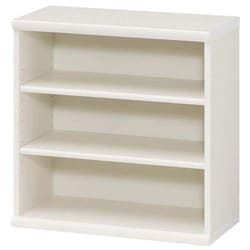 エースラック カラーラック 幅59.2×奥行31×高さ60cm ホワイト NC6060 WH