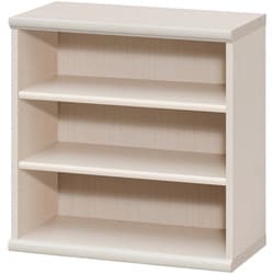 エースラック カラーラック 幅59.2×奥行31×高さ60cm ライトナチュラル NC6060 LN