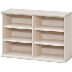 エースラック カラーラック 幅86.5×奥行31×高さ60cm ライトナチュラル NC6090 LN