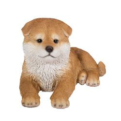 H19266 [寝そべる秋田犬]