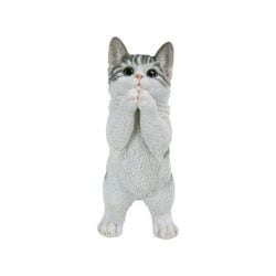 H16622-16 [おねだりサバトラ白猫]