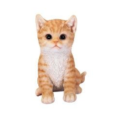 H20595-1 [エジプト座り茶トラ子猫]