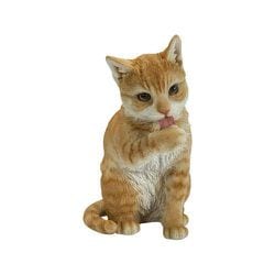 H23029 [前足をなめる茶トラ猫]