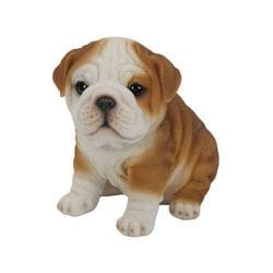 H14062 [お座りブルドッグ]