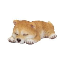 H23105 [うつぶせ寝豆しば]