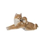 H20474 [親子の柴犬]