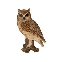 H14106-1 [切り株にとまるスピックスコノハズク]