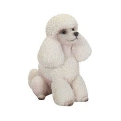 H23162 [待てプードル]