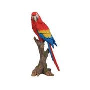 H14139 [切り株にとまるコンゴウインコ]