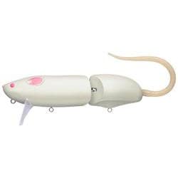 コンバットラット #645 マットホワイト