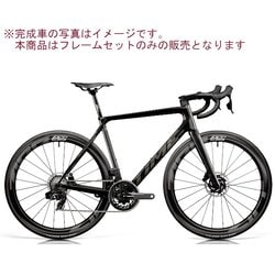 25TIME ALPE DHUEZ DISC（アルプデュエズ ディスク） フレームセット V31（グロスカーボン） サイズ：XL 13475292225V317