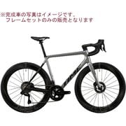 25TIME ALPE DHUEZ DISC(アルプデュエズ ディスク) フレームセット V47(ブリリアントシルバー) サイズ:XS 13475292225V472