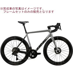 25TIME ALPE DHUEZ DISC（アルプデュエズ ディスク） フレームセット V47（ブリリアントシルバー） サイズ：XL 13475292225V476