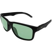 ALL TERRAIN JP スポーツサングラス Black Matte x Light Green Polarized（偏光レンズ） vidg00505