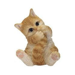 H18167-1 [しっぽで遊ぶ茶トラ猫]