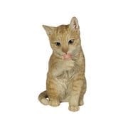 H21095-5-1 [足をなめるダークビスケットとら猫]