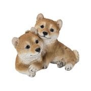H20589 [仲良し子柴犬]